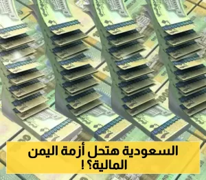 تفاصيل الخطة السعودية لتنسيق المؤسسات المالية وتحديد سعر الصرف بين عدن وصنعاء!