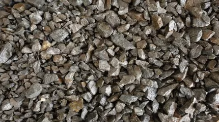 تنشر TMC دراسة الجدوى المبدئية لمشروع Nori D للمعادن المتعددة