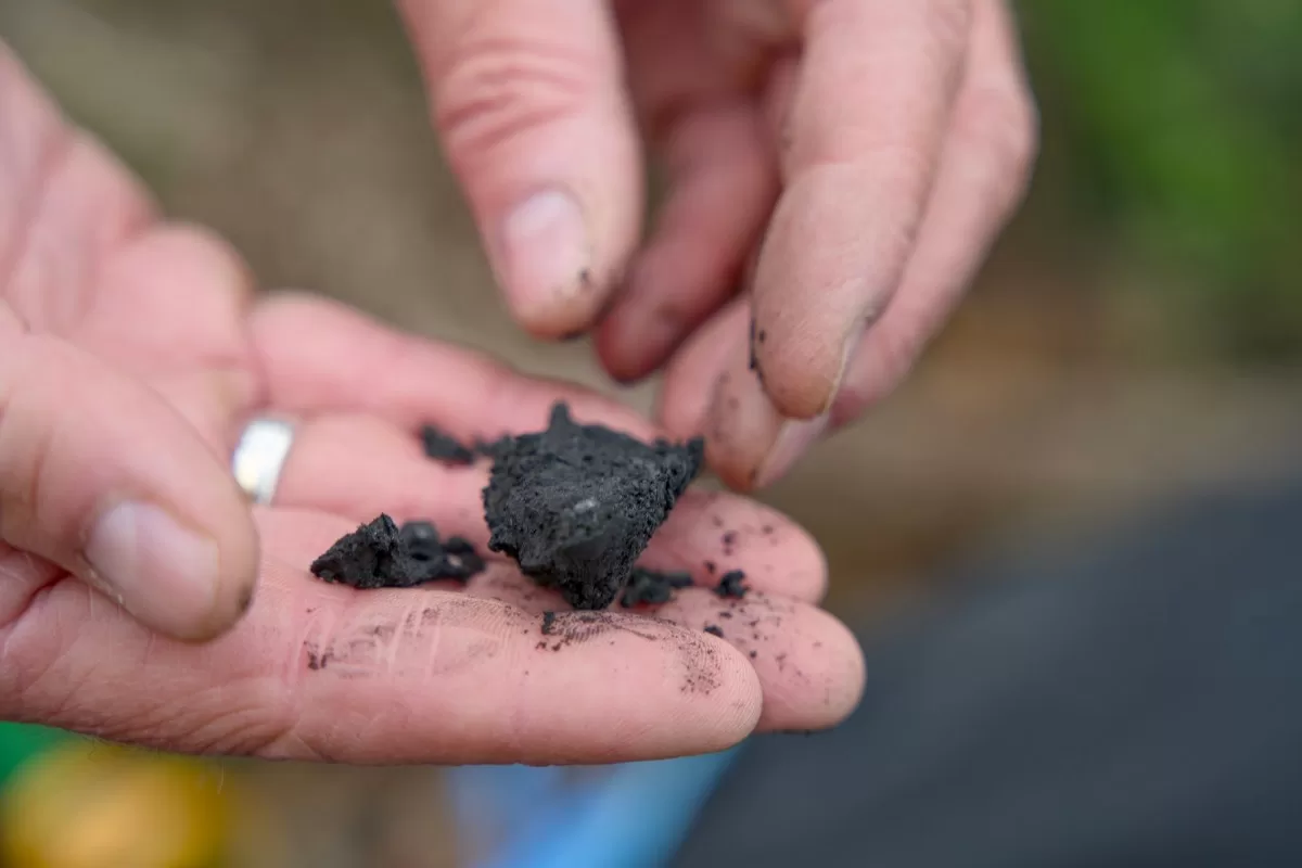 A man holds biochar in his hand.