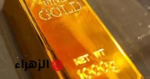 خبر بمليون جنيه: أسعار الذهب في مصر تبقى ثابتة رغم الارتفاع العالمي – بوابة الزهراء