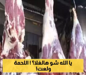 رغم ارتفاع سعر الصرف.. أسعار اللحوم في عدن تشهد زيادة هائلة بأرقام مذهلة!