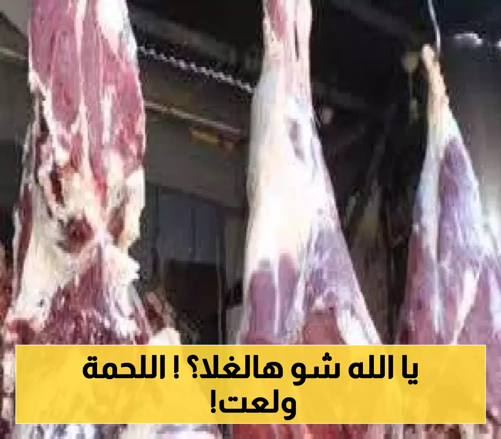 رغم تحسن سعر الصرف..ارتفاع جنوني في أسعار اللحوم بعدن..ارقام فلكية لا تصدق!