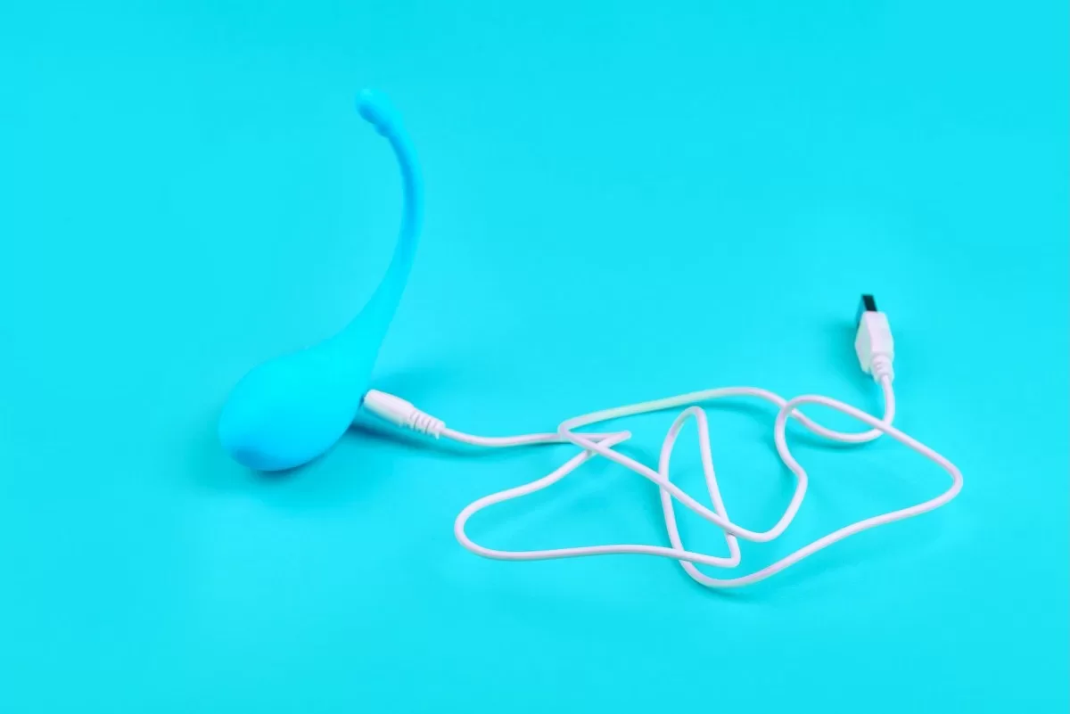 a Lovense branded vibrator with a white charging cable on a light blue background