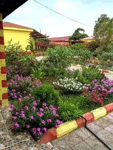 عناوين عدن – كلية اللغات والترجمة بجامعة عدن تبدأ توزيع شهادات التخرج للعام الدراسي 2025م