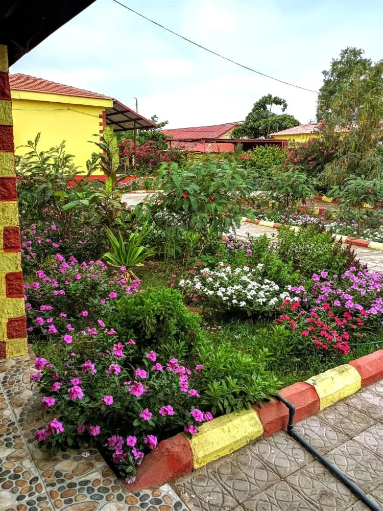 كلية اللغات والترجمة بجامعة عدن تدشّن صرف وثائق التخرج للعام الجامعي 2025م