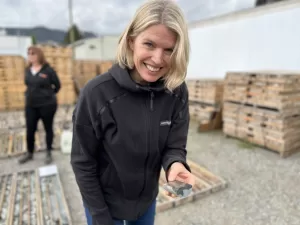 كودياك تحقق نجاحًا في استخراج الذهب النحاسي عالي الجودة في مشروع MPD بكولومبيا البريطانية