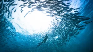 كيف أعادني الغوص الحر إلى جسدي