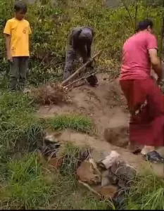 محافظات: مزارع في مديرية يهر يزيل أشجار القات من حقوله