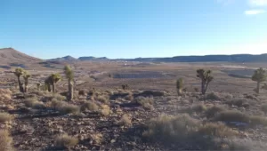 منجم مركزيرا أو كي إس غولدفيلد في ولاية نيفادا