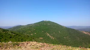 نورول عيون الألغام: مطالبة بقيمة مليار دولار من الديك الرومي