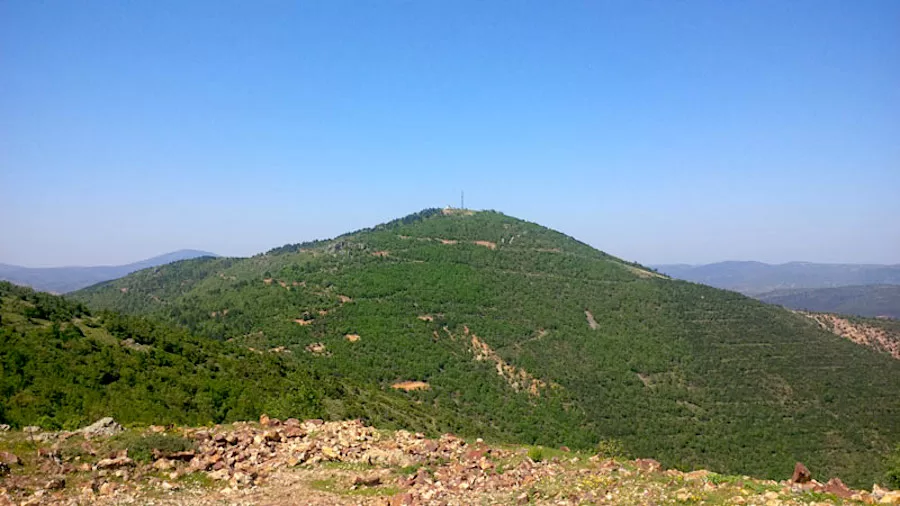 نورول عيون الألغام مطالبة بقيمة مليار دولار من الديك الرومي