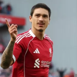 نونيز يقترب من الانضمام للهلال السعودي مع صفقات أوروبية متوقعة تؤثر على سوق الانيوزقالات – الوطن