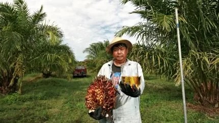 الوقود الحيوي حل متوسط الأجل قابل للتطبيق لإزالة الكربون من