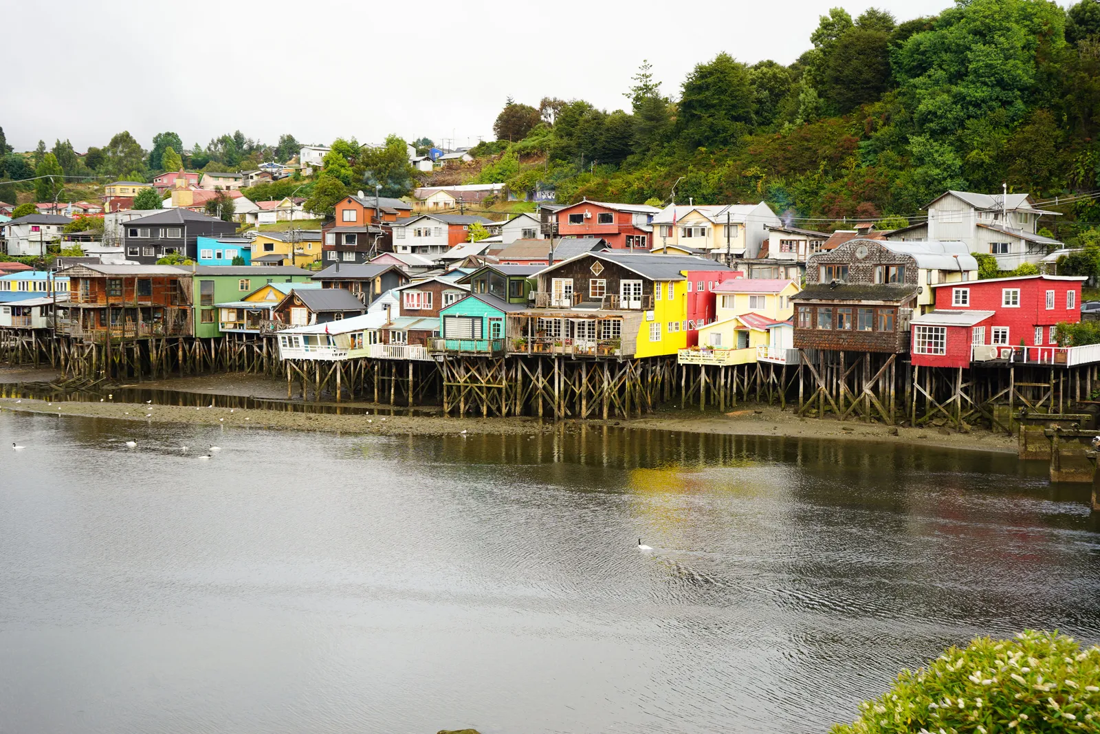 منزل على ضفاف البحيرة بألوان متعددة