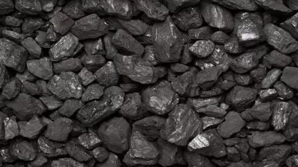 وزارة الداخلية الأمريكية تتجه نحو مبيعات تأجير الفحم في ألاباما