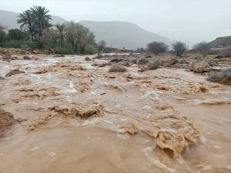 سيول الأمطار تخلف خسارة مادية بخمسين مليون ريال في محافظة شبوة