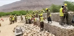 اخبار المناطق – المدير السنة لمديرية القطن يزور مشروع “من الغذاء إلى الصمود” النسخة الثانية