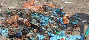 اخبار عدن – وزارة البيئة في المنصورية تطلق حملة شاملة لسحب وإتلاف شمة الحوت