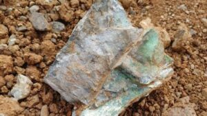 السلطات الإندونيسية تستولي على الأراضي من عمال المناجم بسبب نقص تصاريح الغابات