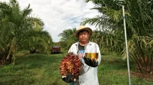 الوقود الحيوي: “حل متوسط الأجل قابل للتطبيق” لإزالة الكربون من سلسلة التوريد