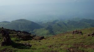 تتساقط حلقات الذهب اليابانية مع انتهاء اتفاقية بارك