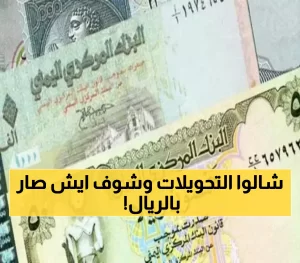 صدمة اقتصادية: الريال اليمني يرتفع أمام الدولار من 1600 إلى 1180.. والخبراء يفسرون اللغز وراء هذا التحسن!