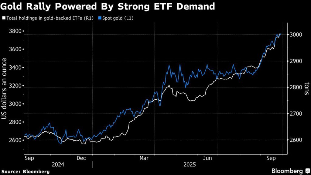 يرتفع سعر الذهب إلى مستوى قياسي جديد بسبب مخاوف الإغلاق