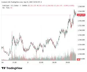 يقترح مجلس الذهب العالمي النموذج الرقمي لامتلاك الذهب وتداوله