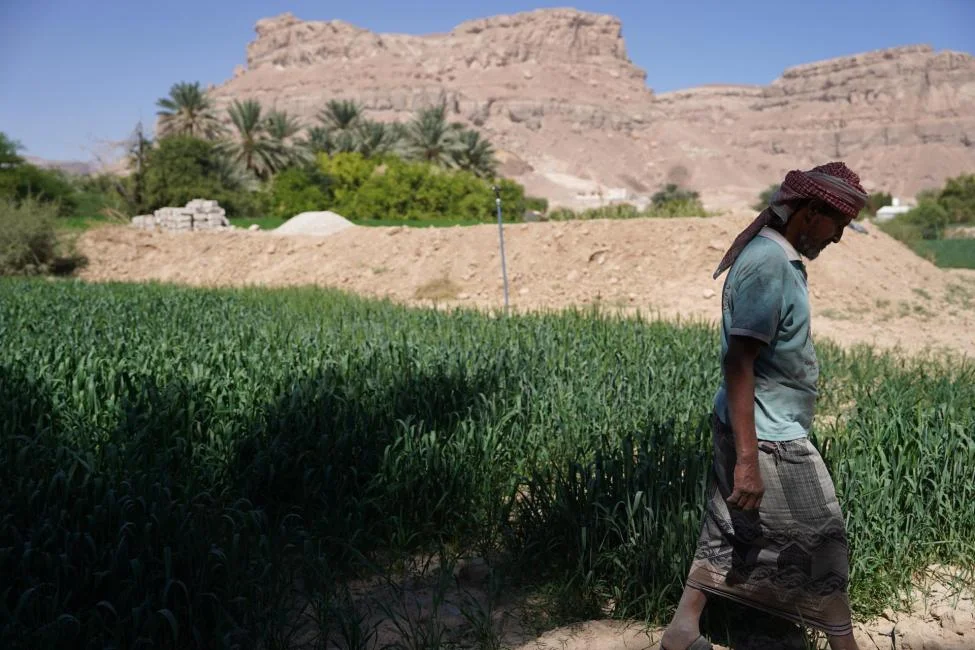 الأرصاد الزراعية تنبه من تقلبات مناخية قد تضر بالمحاصيل في