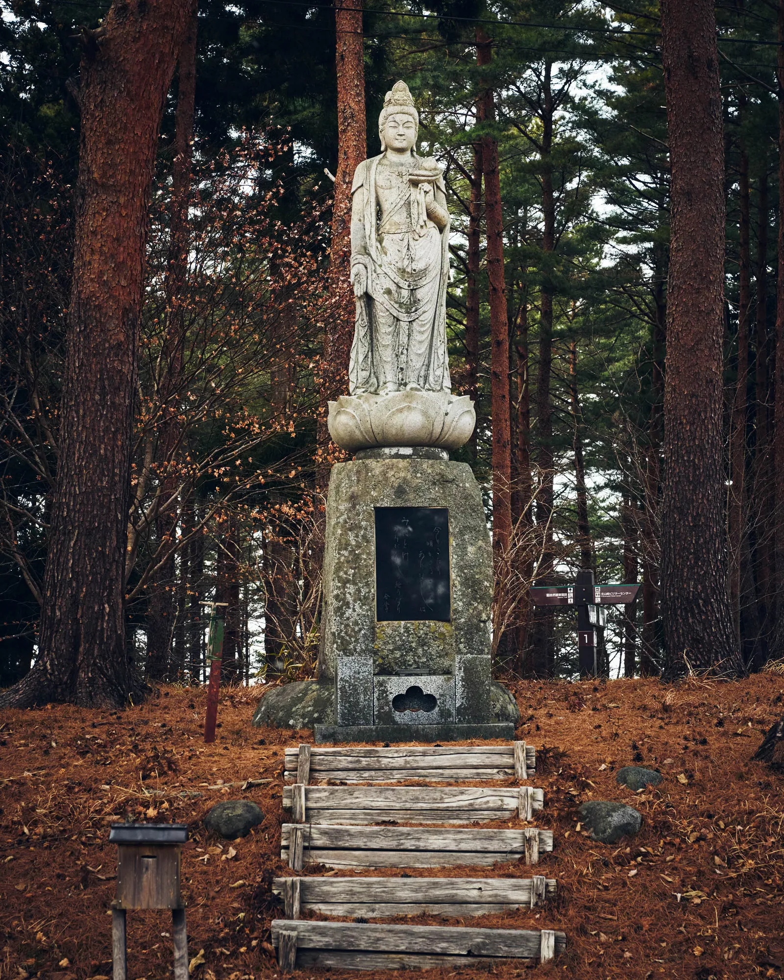 تمثال بوذي في حديقة سانريكو فوكوكو الوطنية