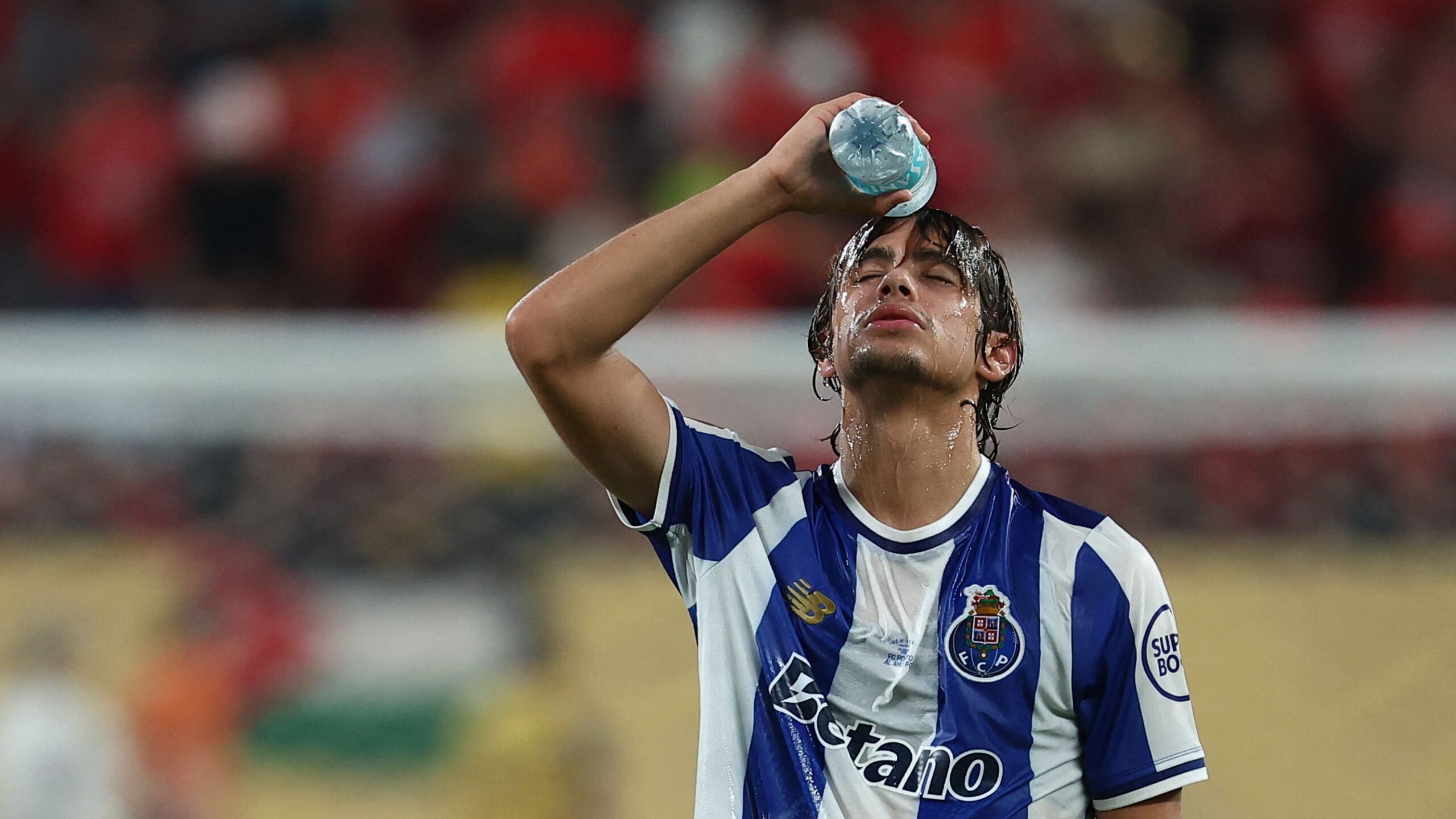 الفيحاء crest