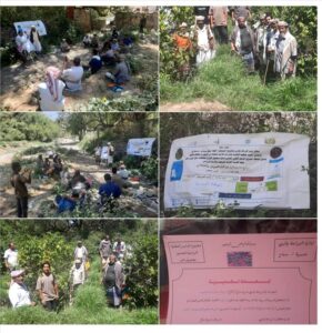 اخبار المناطق – الزراعة في سباح يافع تنهي آخر دورات التدريب لمحصول القهوة في المنطقة