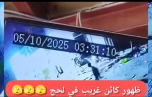 اخبار المناطق – لغز منتصف الليل في لحج: كاميرات تلتقط “مخلوقاً غامضاً” يتنقل في الحوطة!