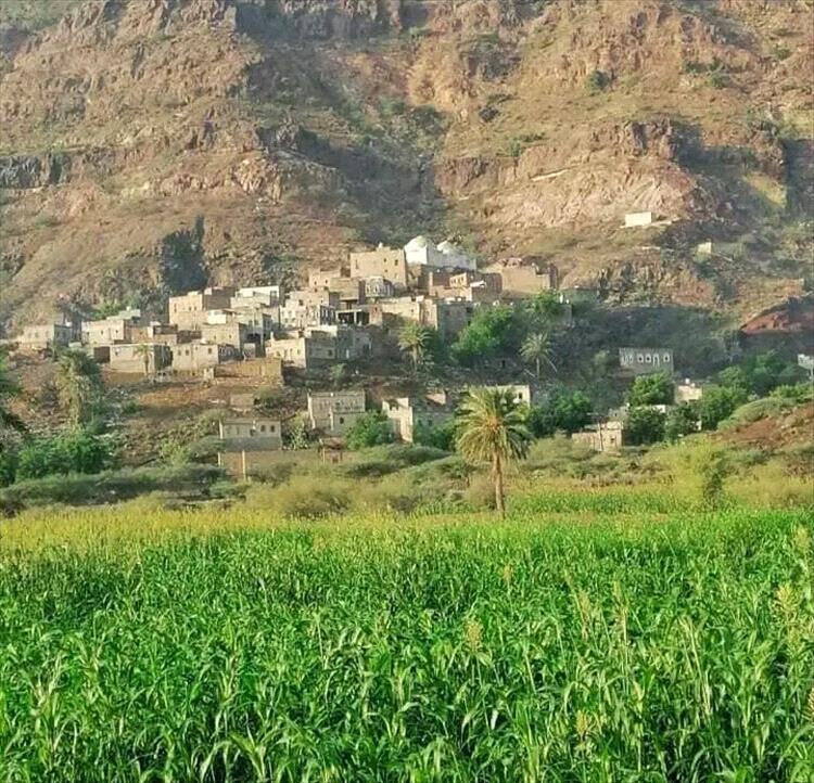 أهالي منطقتي اللصبة والتربة يطلقون نداء استغاثة لإنقاذهم من كارثة صحية