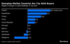 الارتفاع التاريخي للذهب يأتي كمكافأة للأسواق الناشئة