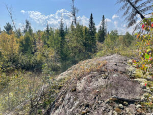 تظهر فحوصات درايدن جولد تمعدنًا واسع النطاق في مشروع شيريدون في أونتاريو