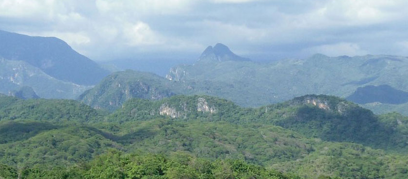 تقوم شركة Minaurum باستخراج الفضة عالية الجودة في مشروع ألأاموس