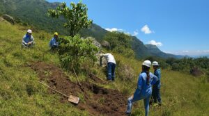 كولومبيا تضر بمشروع النحاس بقيمة 1.4 مليار دولار لشركة AngloGold