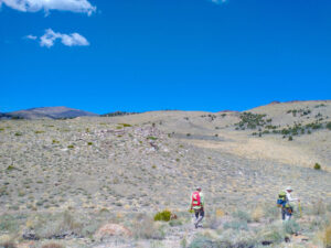 مشروع الذهب في نيفادا الممول من شركة نيومنت يحصل على تصريح FAST-41