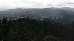 نيو تاليسمان النيوزيلندية توقع صفقة لشراء الذهب لمدة ستة أشهر