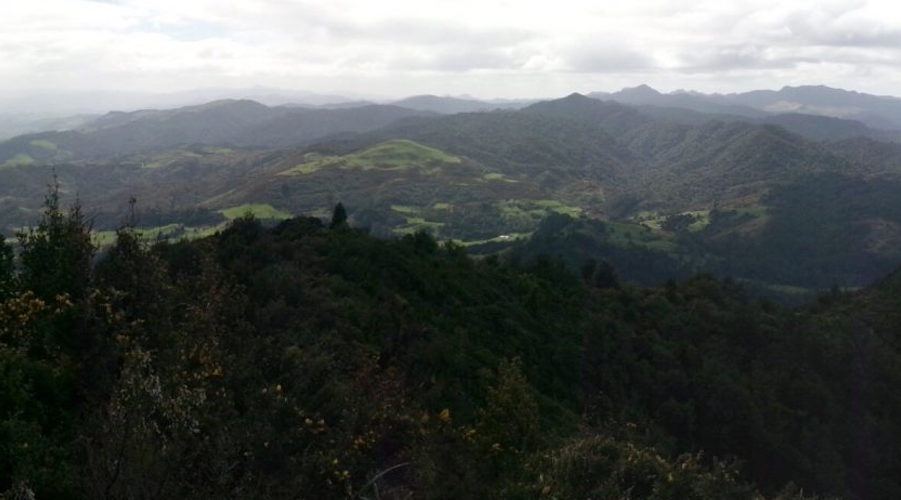 نيو تاليسمان النيوزيلندية توقع صفقة لشراء الذهب لمدة ستة أشهر