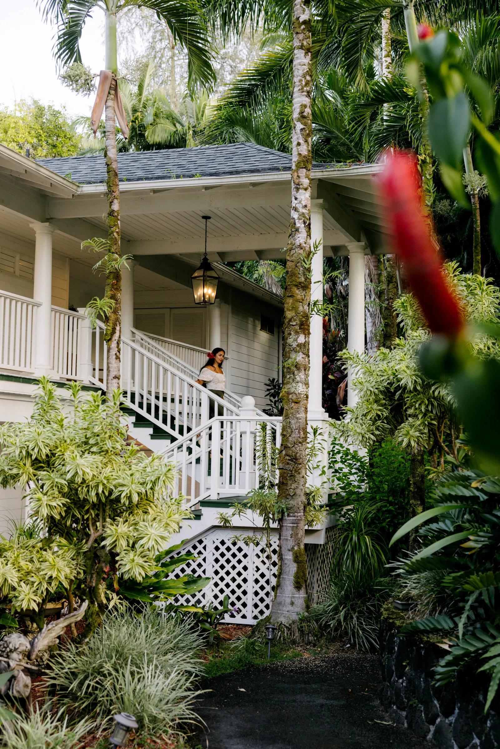 الصورة قد تحتوي على عمارة مبنى فندق منتجع مصباح شخص سكن نبات نباتات في الهواء الطلق ومنزل