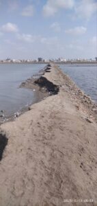 اخبار عدن – تحديثات في أحواض الملح بعدن.. مصدر رسمي يكشف الغرض الفعلي من المشاريع الحالية