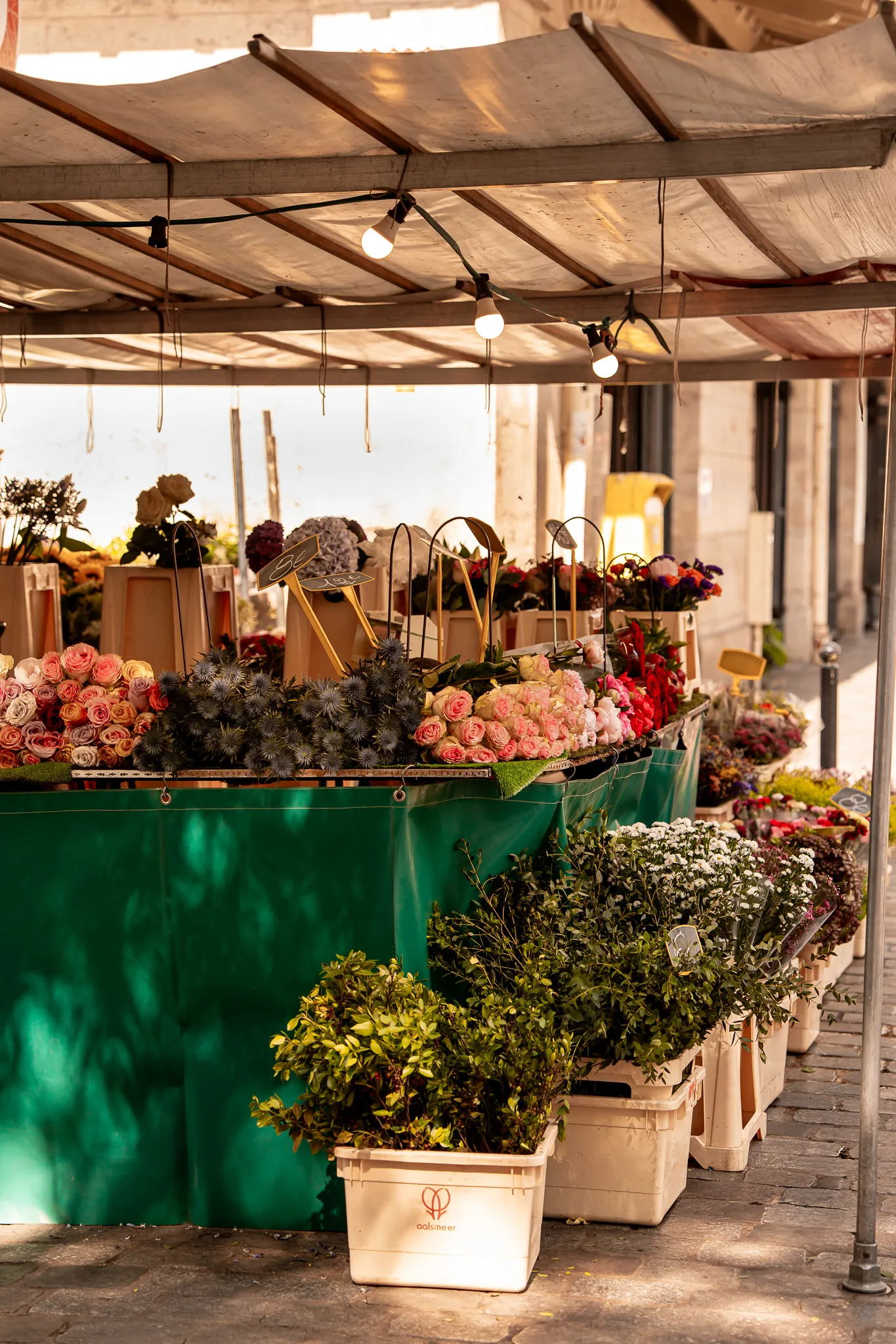 يمكن أن تحتوي الصورة على زهور وترتيب زهور ونبات وباقة زهور وسوق