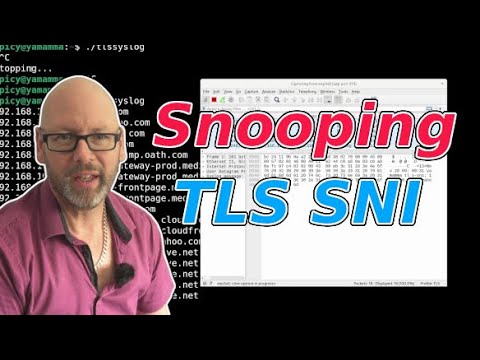 Using simple tools to see which websites users are connecting to