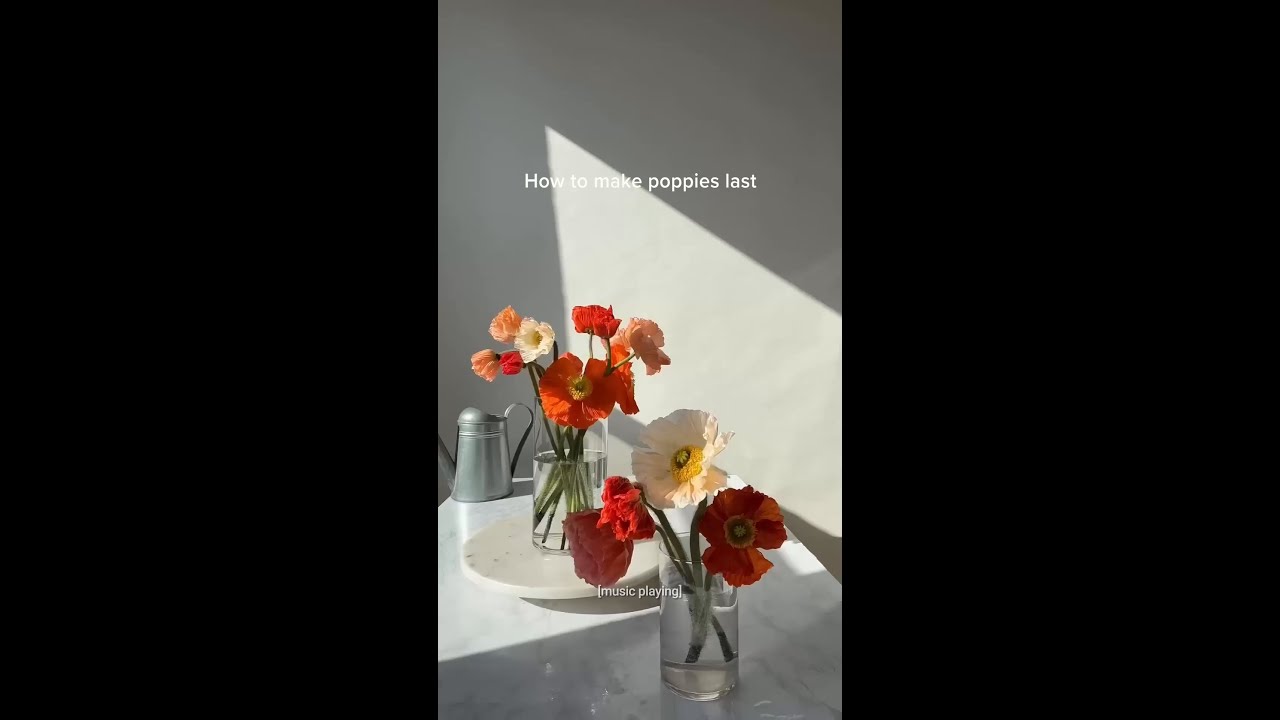 tag someone you want to give flowers to @RachelChoFloral #flowers #arrangement #poppies