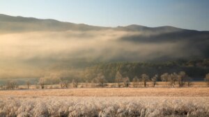 14 منتزهًا وطنيًا تبدو أجمل في فصل الشتاء