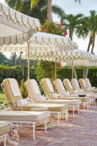 أفضل الأنشطة في شواطئ النخيل، فلوريدا