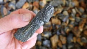 تبدأ شركة Larvotto أعمال التطوير تحت الأرض في مشروع هيلغروف في نيو ساوث ويلز