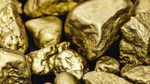 تمارس شركة Revival Gold حقها في الاستحواذ على حصة مشروع Mercur للذهب المملوك لشركة Barrick